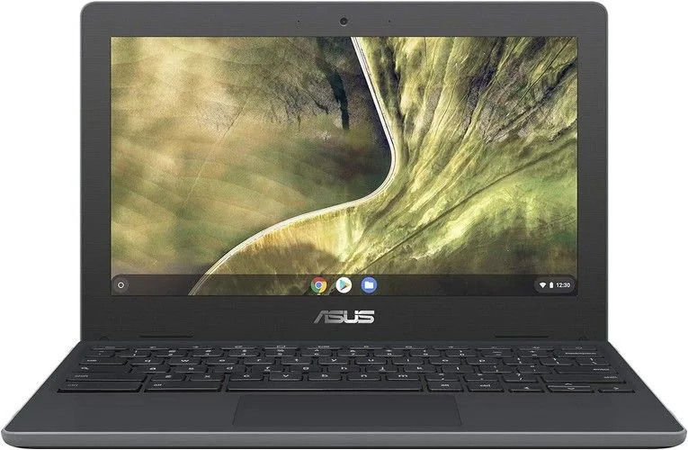 Asus Chromebook C204EE (2019)
