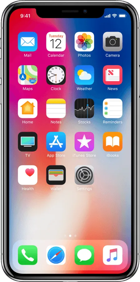 Apple iPhone X