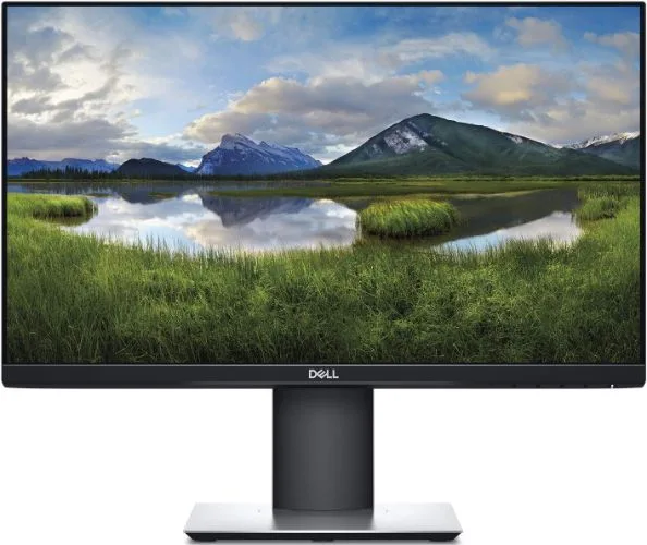 Dell P2219 Monitor 22"